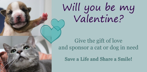 Valentine's Sponsor a Pet