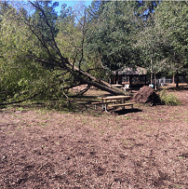 Park Damage Park Damage
