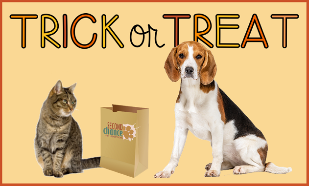 Trick or Treat Trick or Treat