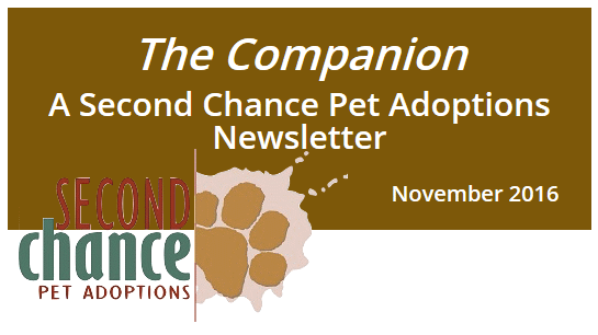 Companion Nov 2016