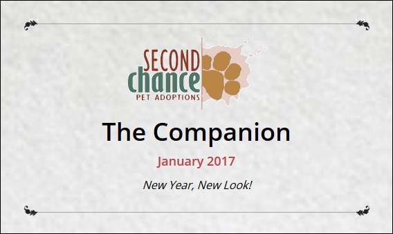 The Companion - January 2017