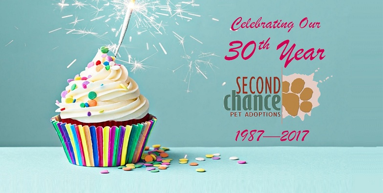 Celebrating Our 30th Year