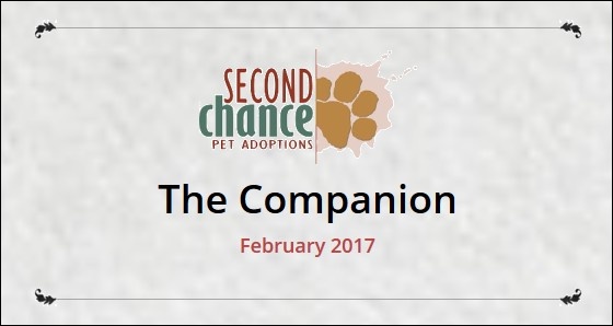 The Companion February 2017