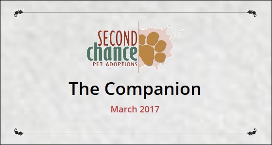 The Companion March 2017