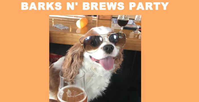 Barks n' Brews Party