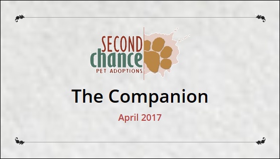 April 2017 Companion