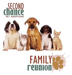 Second Chance Family Reunion
