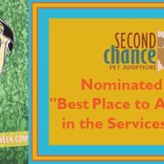 Indy Week Nominates Second Chance as Best