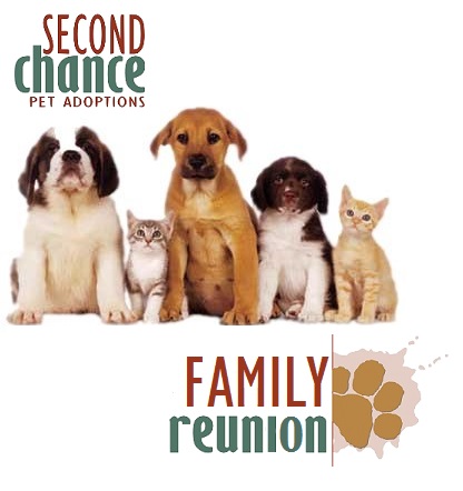 Second Chance Family Reunion