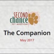 The Companion May 2017