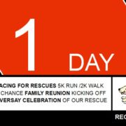 Racing for Rescues One Day Left!