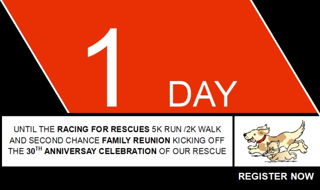 Racing for Rescues One Day Left!