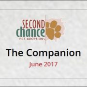 The Companion June 2017
