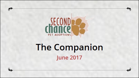 The Companion June 2017