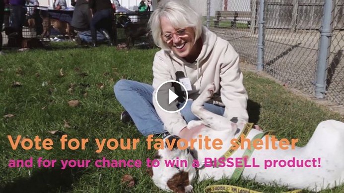 Bissell Pet Foundation Video