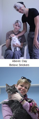 Clay and Snickers Adopted