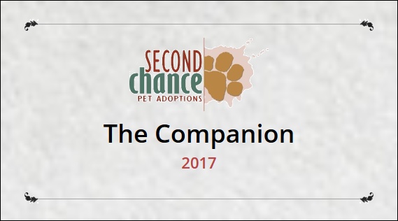 Second Chance Companion 2017
