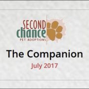 The Companion July 2017