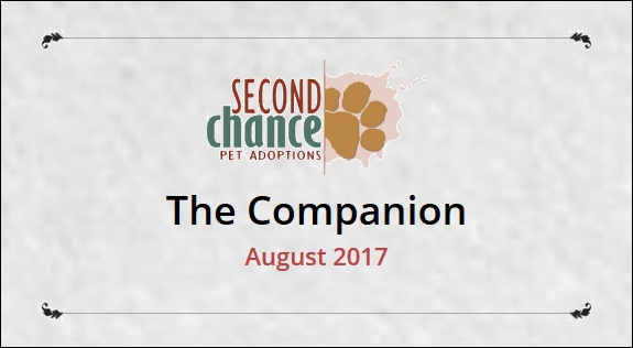 The Companion August 2017