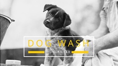 Dog Wash Saturday