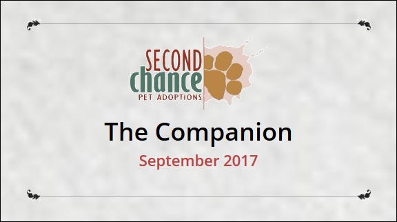 The Companion September 2017